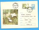 Birds, Bird Of The Delta ROMANIA Postal Stationery  Cover 1971 - Cigognes & échassiers