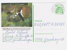 TENNIS - Germany - Postal Stationery Entier Postal Bildpostkarte J 5/69 - Saulgau - Tennis