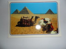 Giza; Pyramides - Gizeh