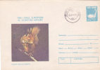 Squirrel,écureuil,1980,covers  Stationery,entier Postal Sent To Mail Romania. - Rongeurs