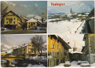 TANINGES  (Haute-Savoie) ,  Altitude  640 M.     E.  10450. - Taninges