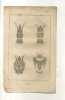 - CHINE . VASES . GRAVURE SUR ACIER DE LA 1ere 1/2 DU XIXe S. - Asiatische Kunst