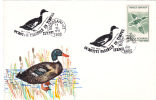 BIRDS -Ducks -CANARDS -  Cover Obliteration Concordante 1993 Romania. - Ducks