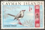 Cayman, Cayman Thrush BIRD, Pajaro, MINT - Kaimaninseln