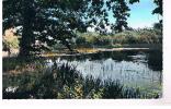 ORADOUR SUR VAYRES - Etang De La Monnerie - Oradour Sur Vayres