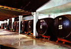 Espana Spain - Espagne - Cadiz Cadix - Bodegas Cellar - Vin Wine - 1975 - Neuve Unused - Cádiz