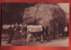 J170 Terroir Pyrénéen Attelage De Boeufs Et Paysan,ANIME. Cachet Dax 1935  No 69 - Midi-Pyrénées