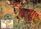 GHANA   WWF CARTE MAXIMUM NUM.YVERT  850  PROTECTION DE LA NATURE  OISEAU  ANTILOPE BONGO - Cartoline Maximum