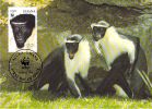 GHANA   WWF CARTE MAXIMUM NUM.YVERT  1579  PROTECTION DE LA NATURE  SINGES - Cartoline Maximum