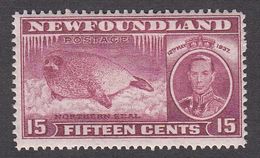 Newfoundland 1937 Die I Add. Coronation 15c  SG263c   MNH - 1908-1947