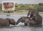 UGANDA 1983 CM,MAXICARD WWF, ELEPHANTS,VERY NICE. - Elefanten