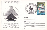 Birds;WWF;Pélicans,Pelican,1992  Special Cover Obliteration Concordante,Romania. - Pelícanos