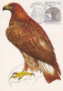 Monaco - Carte Maximum De 1982 - Oiseaux -rapaces - Aigle - Cartoline Maximum