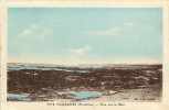 Finistere - Ref C215- Plozevet - Vue Sur La Mer    - Carte Bon Etat - - Plozevet