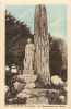 Finistere - Ref C167- Plozevet - Le Monument Aux Morts   - Carte Bon Etat - - Plozevet