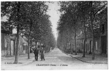 Champigny Sur Yonne Avenue Arbres Animation 1920 état Superbe - Champigny