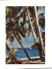 Cp, Guadeloupe, Plage De Cocotiers, écrite 1973 - Sonstige & Ohne Zuordnung