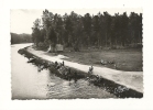 Cp, 89, Villeneuve-la-Guyard, La Plage De Misy - Villeneuve-la-Guyard