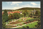 TOP!! BAD KISSINGEN * ROSENGARTEN **!! - Bad Kissingen