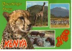 KENYA Cp Couleur Animée Multivues - Kenya