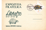 Turtles - 1965 PC Stamps Obliteration Concordante Constanta - Romania. - Schildpadden