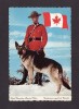POLICE - ROYAL CANADIAN MOUNTED POLICE - GENDARMERIE ROYALE DU CANADA - CHIEN - POLICEMAN WITH DOG - POSTMARKED 1988 - Polizei - Gendarmerie