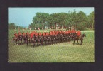 POLICE - ROYAL CANADIAN MOUNTED POLICE - GENDARMERIE ROYALE DU CANADA - MUSICAL RIDE OF THE R.C.M.P. - POSTMARKED - Polizei - Gendarmerie