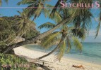 SEYCHELLES - Que J'aime- Cocotiers, Plage De Sable Fin, Le Bruit Des Vagues..le Paradit - Bahama's