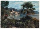 - BRISSAGO.  (Lago Maggiore). - Scan Verso - - Brissago