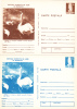 Oiseaux;Cygnus Olor  - 1977 2X Diff. Color! Entier Postal,stationery Card,unused Romania. - Zwanen