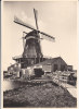 Nederland, Leiden, Houtzaagmolen, Bovenkruier (4473) - Mühlen