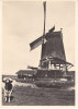 Nederland, Zaandam, Houtzaagmolen, Paltrok (4477) - Windmills