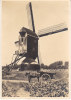 Nederland, Merum-Herten Bij Roermond, Gesloten Standaard Molen (4480) - Moulins