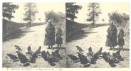 CARTE STEREO SCOPIQUES )) SCENES ANIMEES  LL 9  LE REPAS DES POULES /  ANIMEE  ** - Cartes Stéréoscopiques