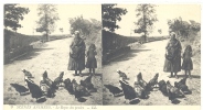 CARTE STEREO SCOPIQUES )) SCENES ANIMEES  LL 9  LE REPAS DES POULES /  ANIMEE  ** - Stereoscope Cards