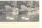 CARTE STEREO SCOPIQUES )) SCENES ANIMEES  LL  17  UN COIN DU LAC / - Cartes Stéréoscopiques