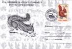 Squirrel,écureuil,2000,special Covers ,obliteration Concordante Suceava -  Romania. - Nager