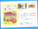 Timisoara. Tennis, Basketball, Handball, Sports Hall  ROMANIA Postal Stationery Cover 2001 - Tenis