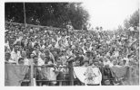 COLLIOURE (66) Carte Photo Foule Dans Les Arènes ? Stade ? Belle Animation - Collioure