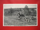 North Carolina > Southern Pines  Horses & Hounds In Sandhills  Off For Fox Hunt ===  -- Ref 253 - Sonstige & Ohne Zuordnung