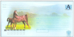 Russia 2007 Postal Stationry Horse Horses Fauna - Stamped Stationery