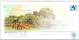 Russia 2008 Postal Stationry Horse Horses Fauna - Stamped Stationery