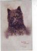 SCOTTISH TERRIER Par MAUD WEST WATSON. RAPHAEL TRUCK . OILETTE. N: 8837 - Tuck, Raphael