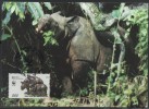 WWF - 1996 - Indonésie - Rhinocéros De Java - FDC 1 Carte + 1 Lettre - Other & Unclassified