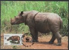 WWF - 1996 - Indonésie - Rhinocéros De Sumatra - FDC 1 Carte + 1 Lettre - Other & Unclassified