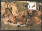 WWF - 1996 - Arménie - Chèvre à Bezoard - FDC 1 Carte + 1 Lettre - Other & Unclassified