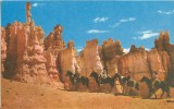 USA – United States – Horseback Riders, Bryce Canyon National Park, Utah, Unused Postcard [P5493] - Bryce Canyon