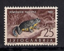 Yugoslavia 1962. Mi.1009  MNH Frog - Neufs