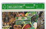 BELGIO (BELGIUM) - BELGACOM (L&G) - 1993 ZOO (CODE 304E) - USED °  -  RIF. 5028 - Jungle