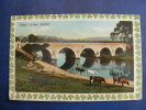 CPA...SHAW´S  BRIDGE..BELFAST..PONT  VACHES...RECTO VERSO - Antrim